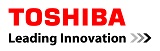 Toshiba International Foundation