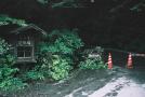 gal/Karuizawa_2009_by_Adachi/_thb_FH000005.JPG