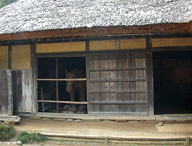 Old Kudou H house