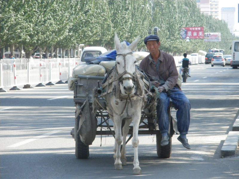 gal/5th_SGRA_China_Forum_in_Hohhot_2010/IMGP2989.JPG