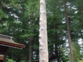 蓼科(3)